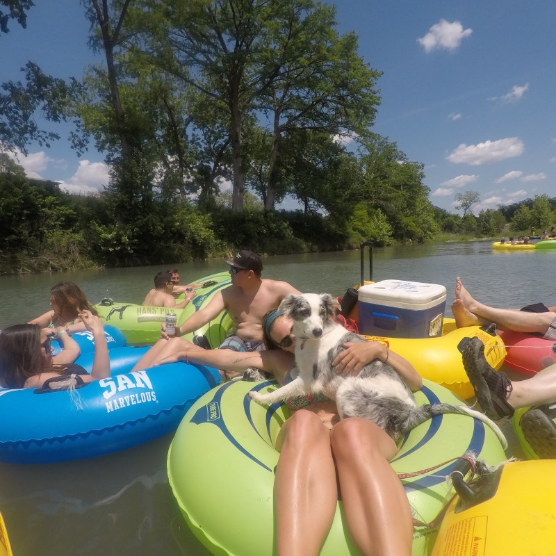 A group of friends floating down the San Marcos River in tubes
