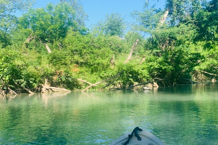 a boat floating along a river next to a body of water